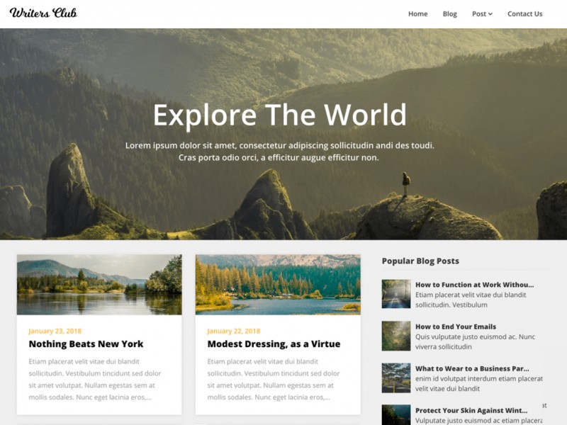 Nhà văn Blogily Theme Miễn phí Tải về
