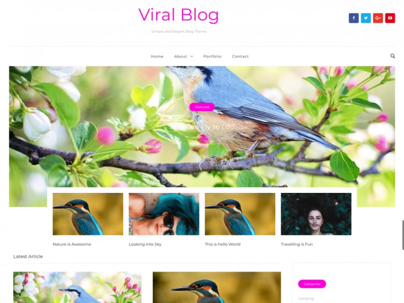 Viral Blog Theme Miễn phí Tải về