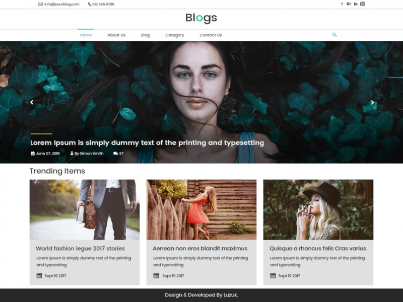 LZ Real Blog Theme Miễn phí Tải về