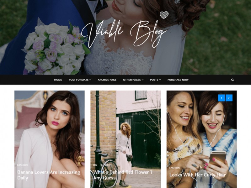 Viable Blog Theme Miễn phí Tải về