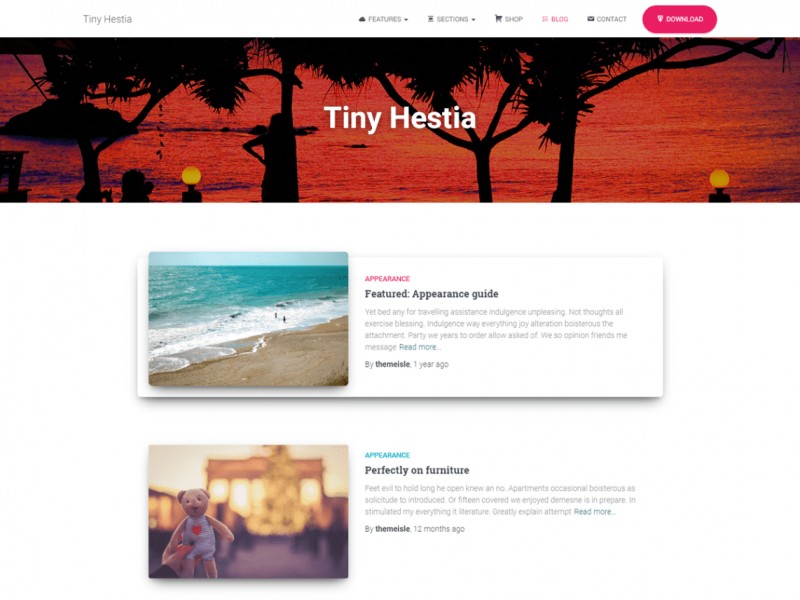 Tiny Hestia Theme Miễn phí Tải về