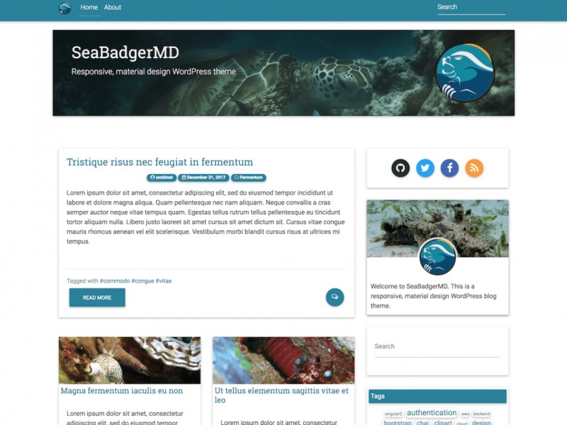 SeaBadgerMD Theme Miễn phí Tải về