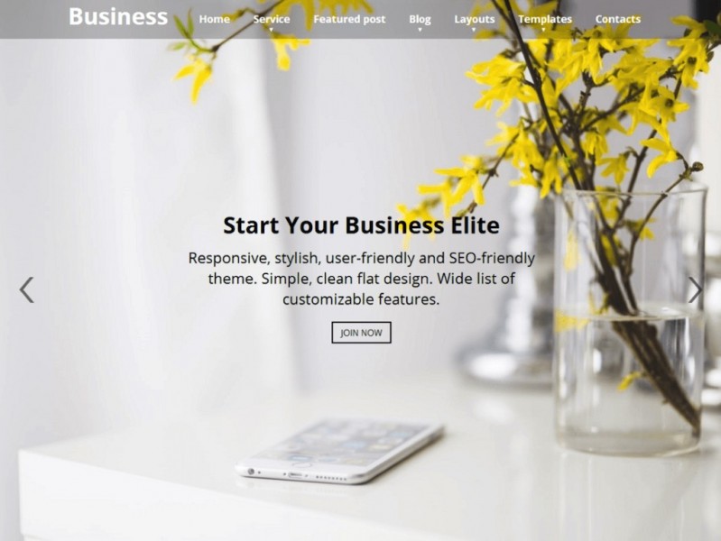 Business Elite-min